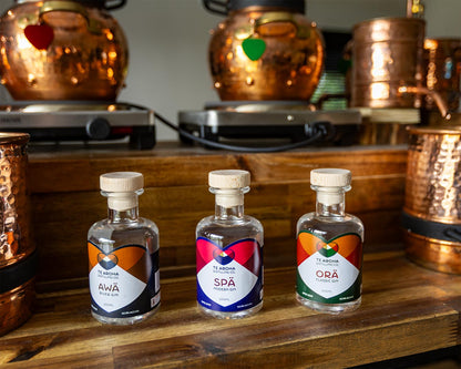 Gin Traveller Pack